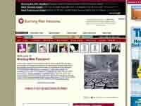 burningmanpassions.com